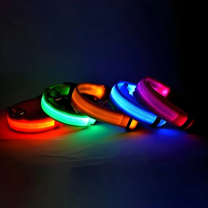 Dog Collar LED