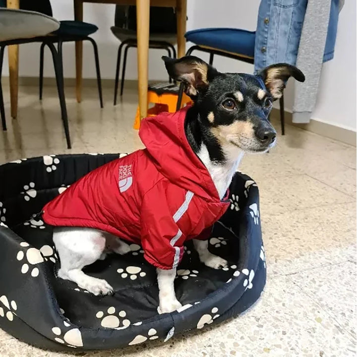 Waterproof Dogs Jacket