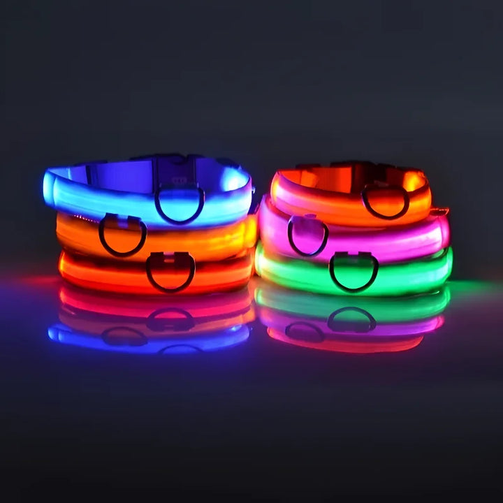 Dog Collar LED