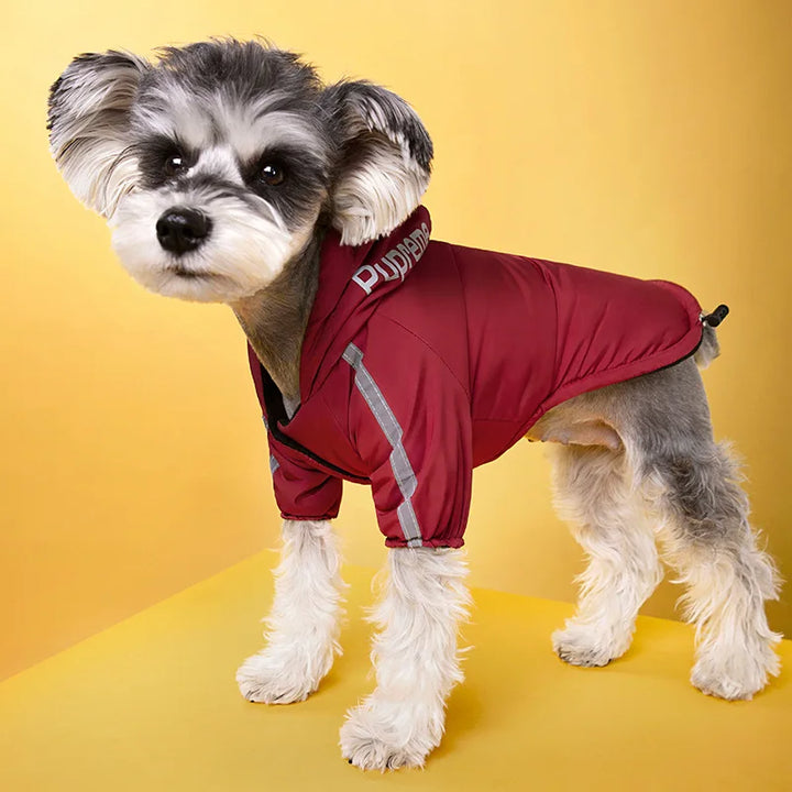 Waterproof Dogs Jacket