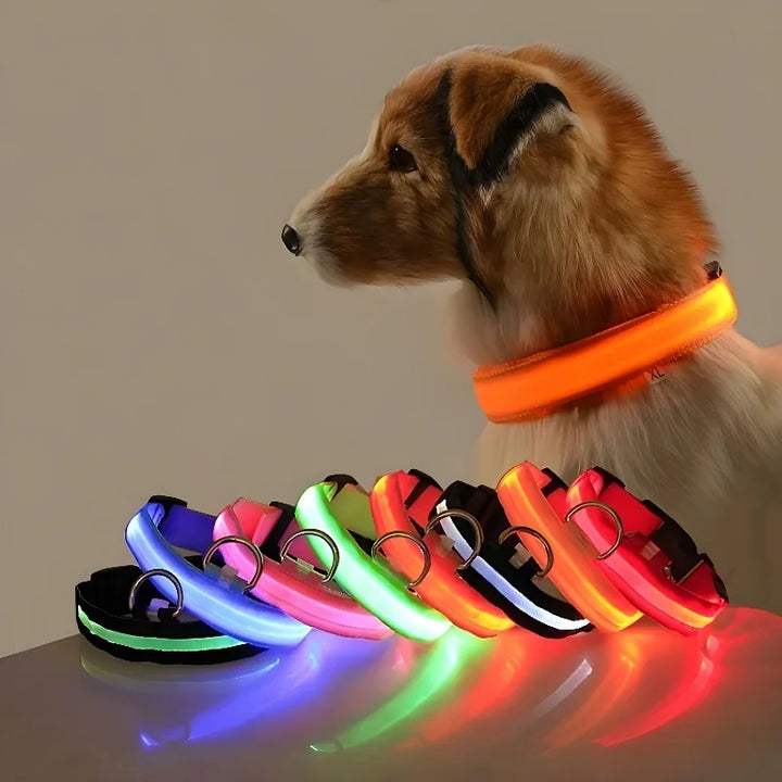 Dog Collar LED